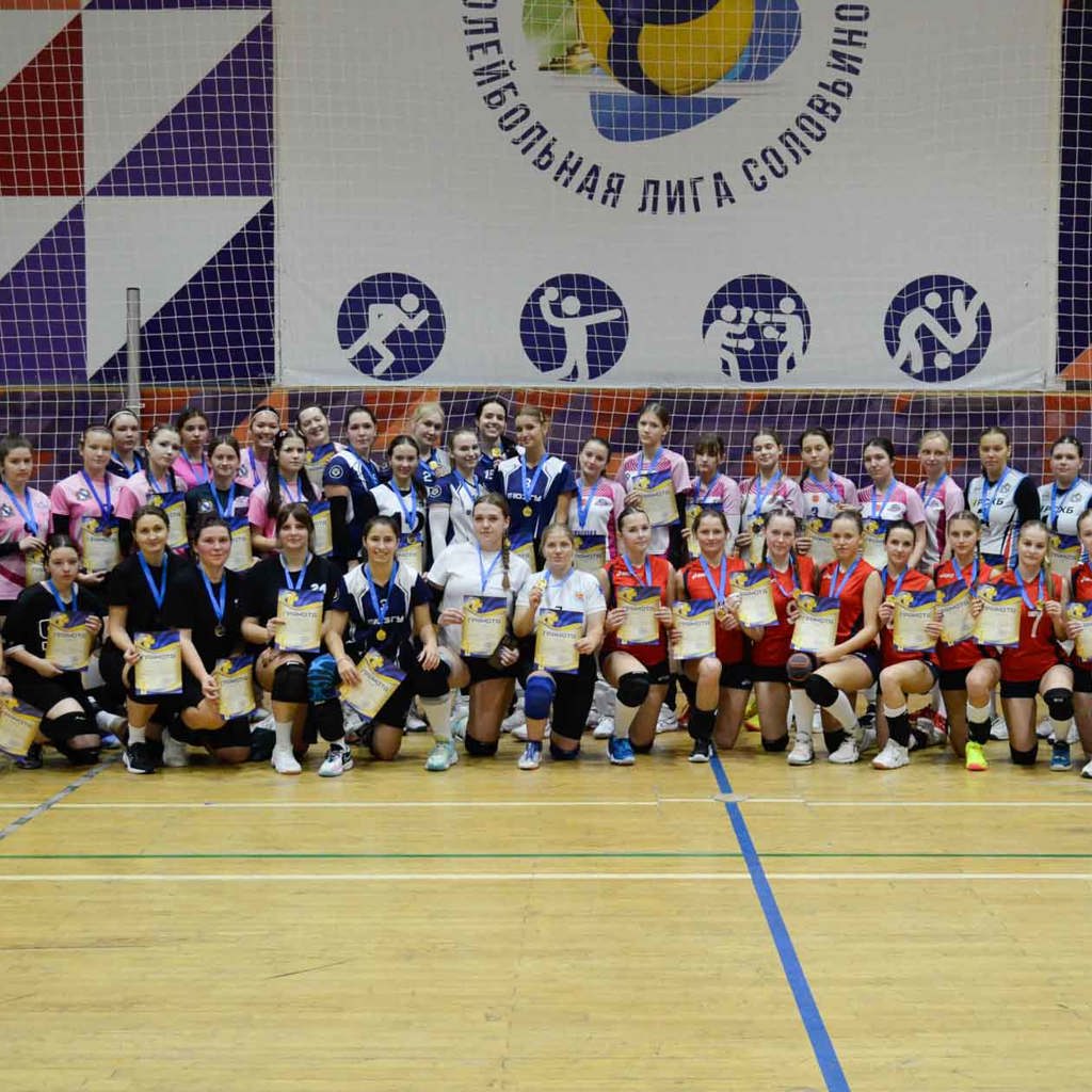 Volleyball Clubs Kuryanochka And Mercury